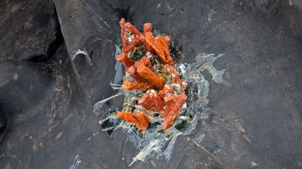 Путь к инфаркту: тест-драйв вездехода «Исследователь»