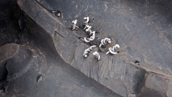 Путь к инфаркту: тест-драйв вездехода «Исследователь»